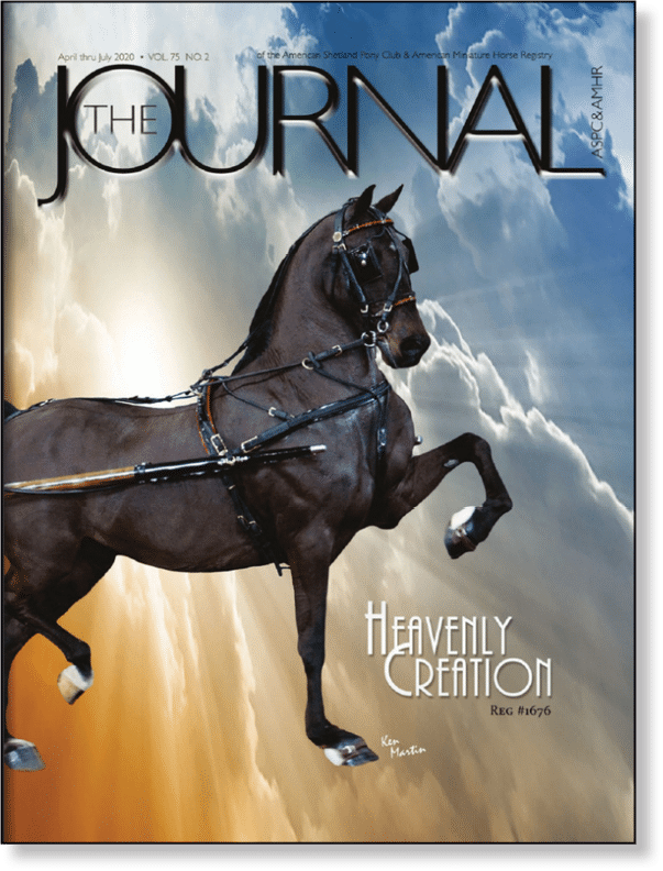 Rectangle